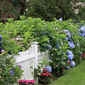 Cape Cod Flower Garden